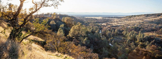 Chico, CA