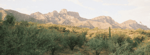 General Dental Practice for Sale in Southern Arizona
