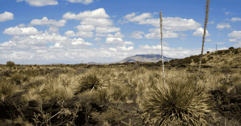 PTS Photo 1 1 2 1 768x402