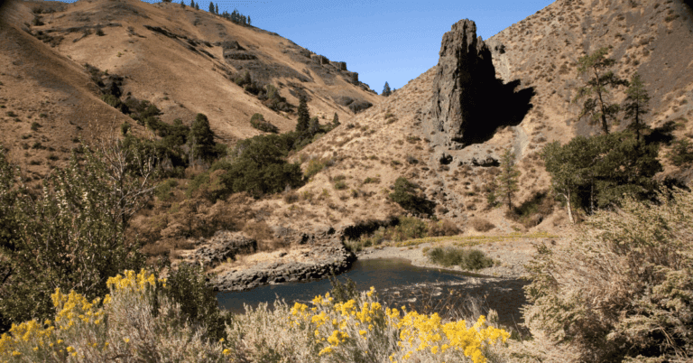 PTS Photo 1 1 22 768x402