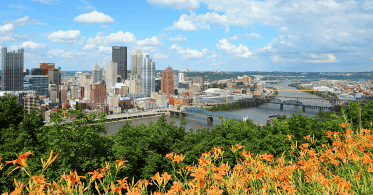 PTS Photo 1 2 768x402