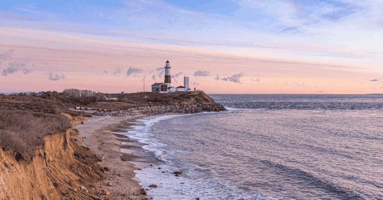 PTS Photo 14 2 768x402