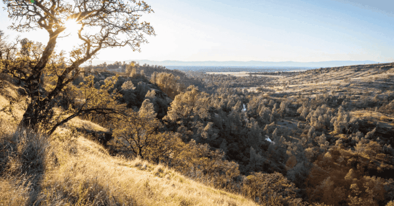 PTS Photo 15 62 768x402