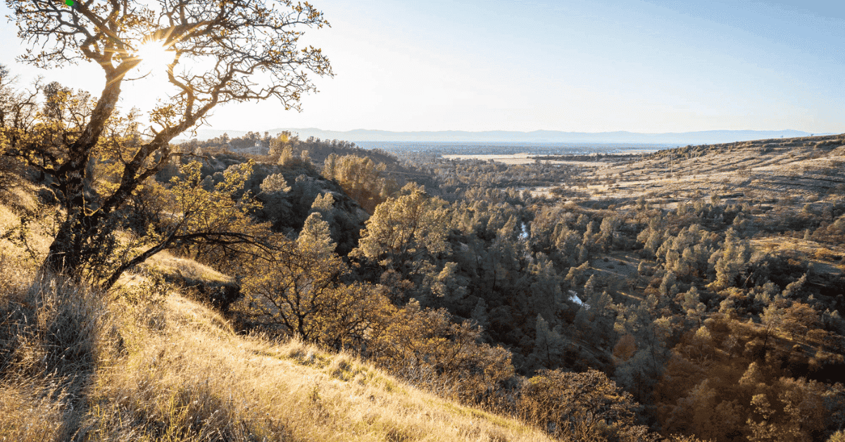 Chico, CA Dental Practice for Sale