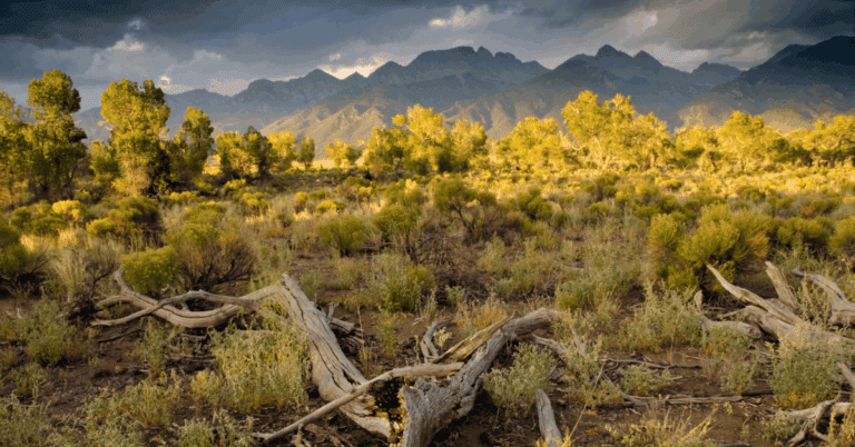 PTS Photo 19 768x402