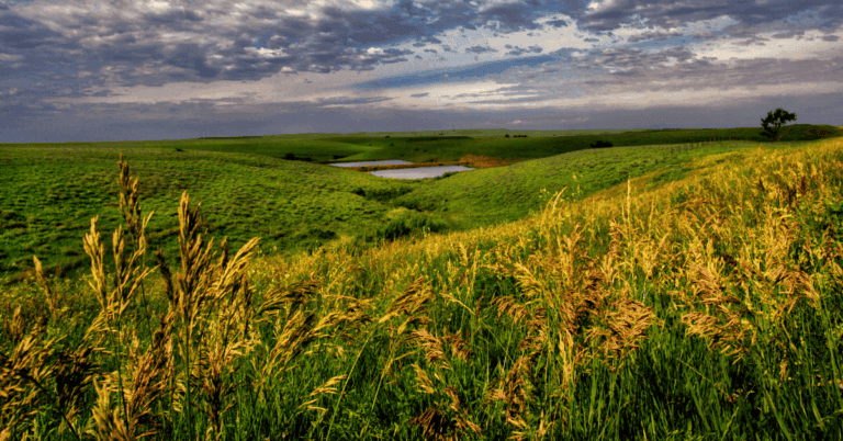 PTS Photo 3 4 1 768x402