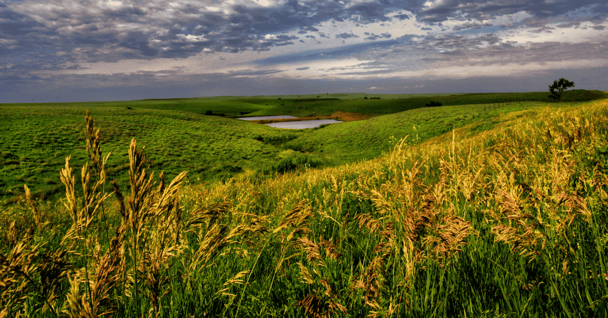 Central Kansas General Dental Practice