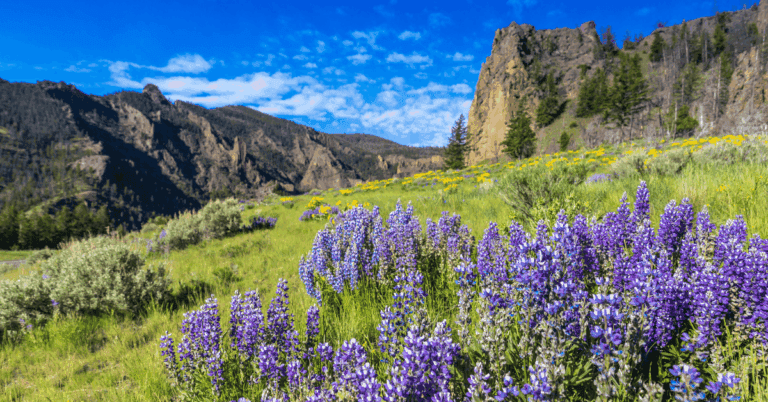 PTS Photo 4 1 768x402