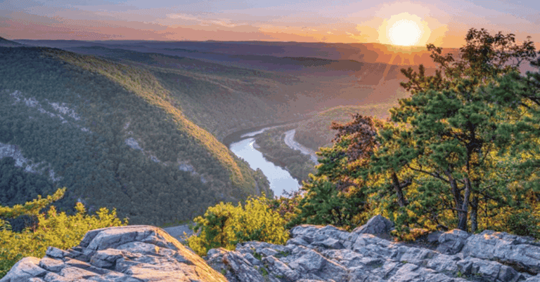 PTS Photo 6 6 768x402