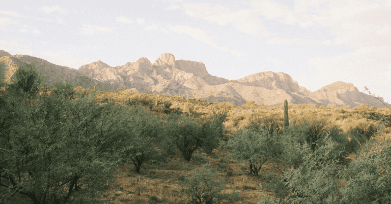 PTS Photo 8 6 768x402