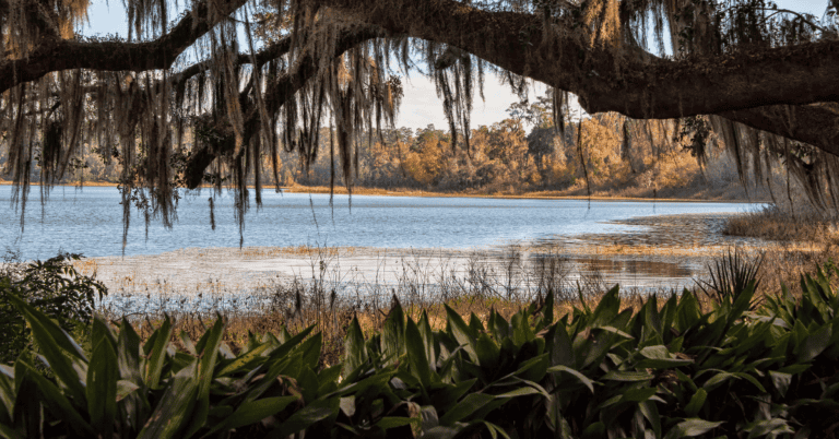PTS Photo 768x402